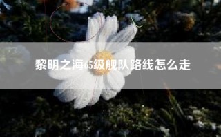 黎明之海65级舰队路线怎么走