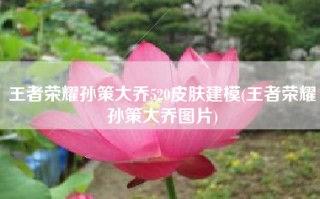 王者荣耀孙策大乔520皮肤建模(王者荣耀孙策大乔图片)