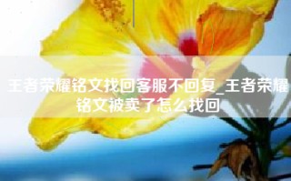 王者荣耀铭文找回客服不回复_王者荣耀铭文被卖了怎么找回