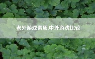 老外游戏素质,中外游戏比较