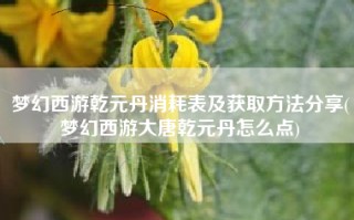 梦幻西游乾元丹消耗表及获取方法分享(梦幻西游大唐乾元丹怎么点)