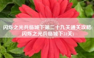 闪烁之光兵临城下第二十九关通关攻略(闪烁之光兵临城下34关)