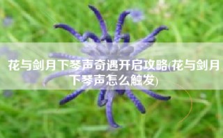 花与剑月下琴声奇遇开启攻略(花与剑月下琴声怎么触发)