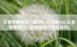 王者荣耀每日一题5月27日答案2022(王者荣耀每日一题能抽到小乔皮肤吗)