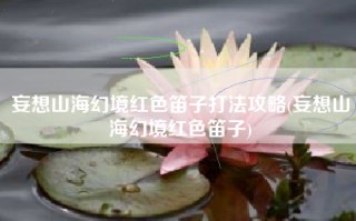 妄想山海幻境红色笛子打法攻略(妄想山海幻境红色笛子)