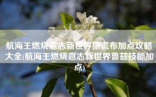 航海王燃烧意志新世界撒谎布加点攻略大全(航海王燃烧意志新世界鲁兹技能加点)