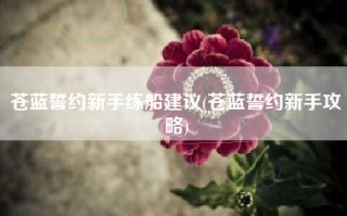 苍蓝誓约新手练船建议(苍蓝誓约新手攻略)