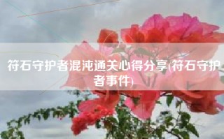 符石守护者混沌通关心得分享(符石守护者事件)