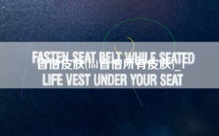 盲僧皮肤(lol盲僧所有皮肤)_1