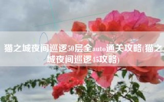 猫之城夜间巡逻50层全auto通关攻略(猫之城夜间巡逻45攻略)