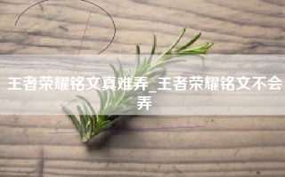 王者荣耀铭文真难弄_王者荣耀铭文不会弄