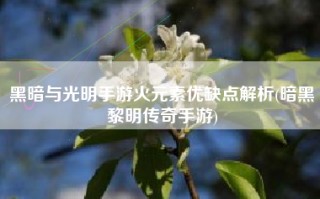 黑暗与光明手游火元素优缺点解析(暗黑黎明传奇手游)