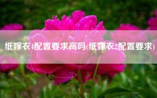 纸嫁衣4配置要求高吗(纸嫁衣2配置要求)