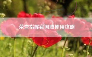 荣誉指挥官图腾使用攻略