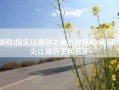 剑网3指尖江湖谷之岚治疗攻略(剑网3指尖江湖谷主和玄正)