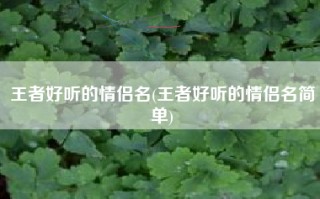 王者好听的情侣名(王者好听的情侣名简单)