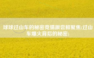球球过山车的秘密竞猜跟尝鲜聚焦(过山车爆火背后的秘密)