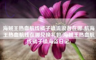 海贼王热血航线橘子镇流浪者在哪-航海王热血航线在哪兑换礼包(海贼王热血航线橘子镇海盗日记)
