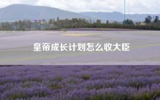 皇帝成长计划怎么收大臣