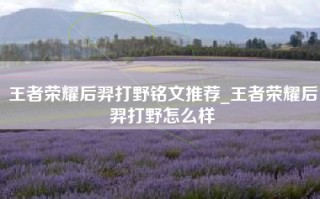 王者荣耀后羿打野铭文推荐_王者荣耀后羿打野怎么样