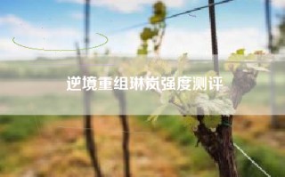 逆境重组琳岚强度测评