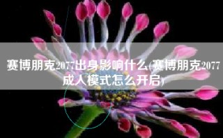 赛博朋克2077出身影响什么(赛博朋克2077成人模式怎么开启)