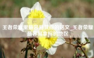王者荣耀里最容易获得的铭文_王者荣耀最容易拿标的地区