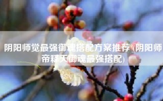 阴阳师觉最强御魂搭配方案推荐 (阴阳师帝释天御魂最强搭配)