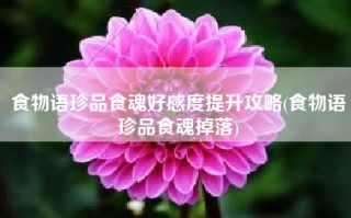 食物语珍品食魂好感度提升攻略(食物语珍品食魂掉落)