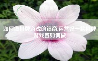 如何做棋牌游戏的银商,运营好一款棋牌游戏要如何做