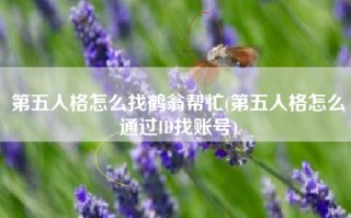 第五人格怎么找鹤翁帮忙(第五人格怎么通过ID找账号)