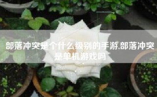 部落冲突是个什么级别的手游,部落冲突是单机游戏吗