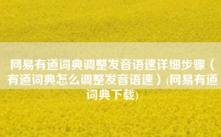 网易有道词典调整发音语速详细步骤（有道词典怎么调整发音语速）(网易有道词典下载)