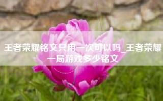 王者荣耀铭文只用一次可以吗_王者荣耀一局游戏多少铭文