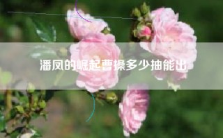 潘凤的崛起曹操多少抽能出
