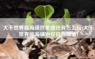 大千世界临海镇找老婆任务怎么玩(大千世界临海镇治安官在哪里)