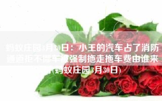蚂蚁庄园3月30日：小王的汽车占了消防通道拒不挪车被强制拖走拖车费由谁来付(蚂蚁庄园3月30日)