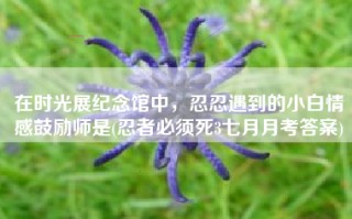 在时光展纪念馆中，忍忍遇到的小白情感鼓励师是(忍者必须死3七月月考答案)