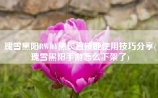 瑰雪黑阳RWBY黑长直技能使用技巧分享(瑰雪黑阳手游怎么下架了)
