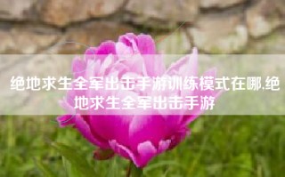 绝地求生全军出击手游训练模式在哪,绝地求生全军出击手游