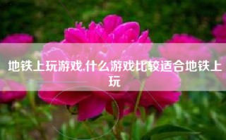 地铁上玩游戏,什么游戏比较适合地铁上玩