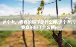 这个老六我真的服了是什么梗(这个老六我真的服了什么梗)