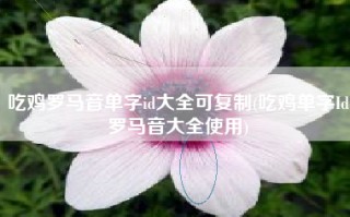 吃鸡罗马音单字id大全可复制(吃鸡单字Id罗马音大全使用)