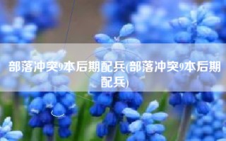 部落冲突9本后期配兵(部落冲突9本后期配兵)