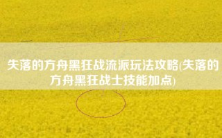 失落的方舟黑狂战流派玩法攻略(失落的方舟黑狂战士技能加点)