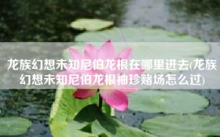 龙族幻想未知尼伯龙根在哪里进去(龙族幻想未知尼伯龙根袖珍赌场怎么过)