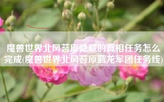 魔兽世界北风苔原隐藏的真相任务怎么完成(魔兽世界北风苔原蓝龙军团任务线)
