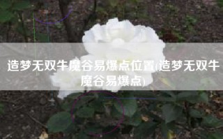 造梦无双牛魔谷易爆点位置(造梦无双牛魔谷易爆点)