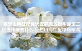 妄想山海红配绿烤翠鹞怎么做附鲲第二次进化需要什么(妄想山海红配绿烤翠鹞)