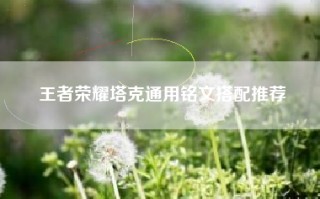 王者荣耀塔克通用铭文搭配推荐